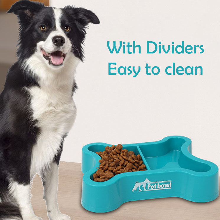 Two Dividers Pet Bowl