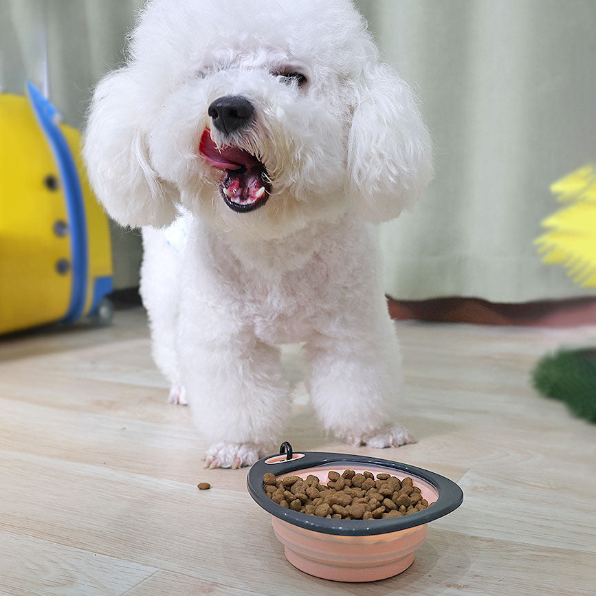 Portable Folding Pet Bowl