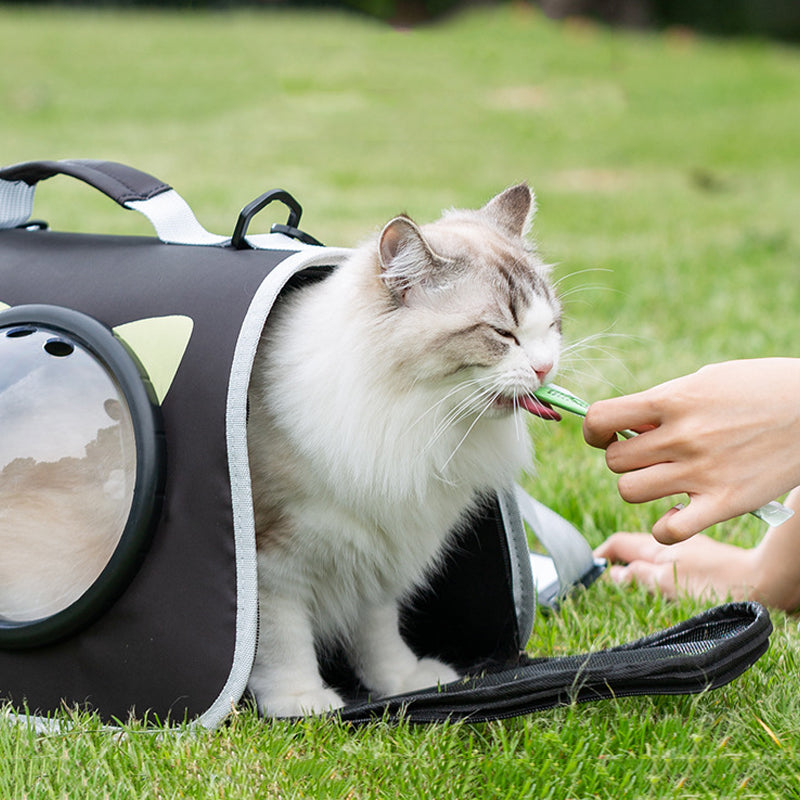 Crossbody Large Capacity Pet Bag