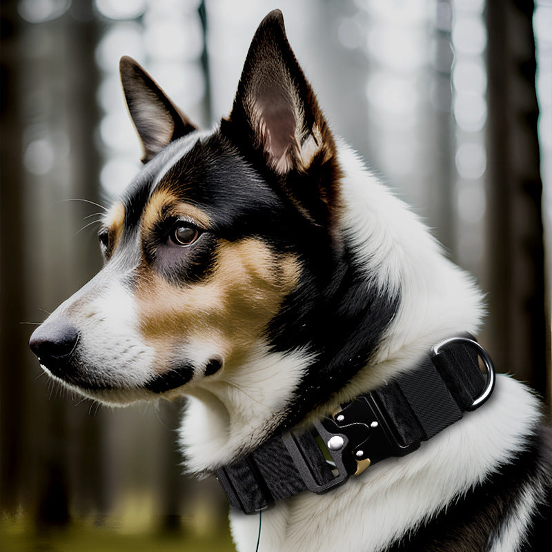 Dog Tactical Collar For Large Dog