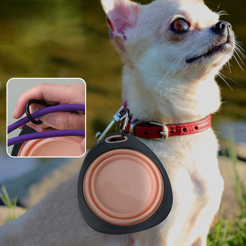 Portable Folding Pet Bowl