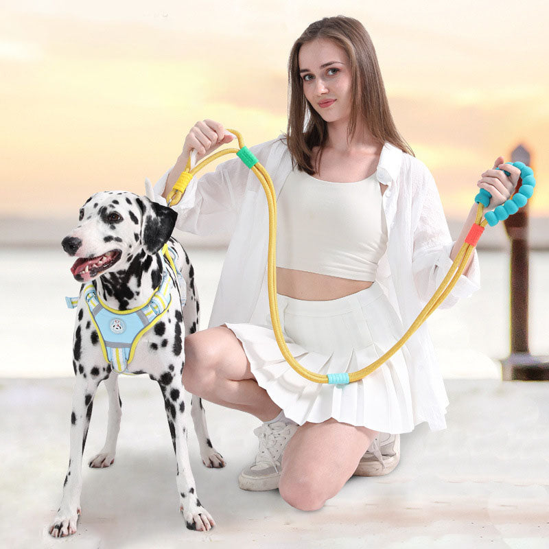 Anti-snagging Medium Large Dog Leash