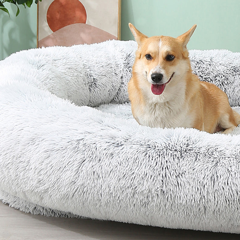 Large Bed For Both People And Pets