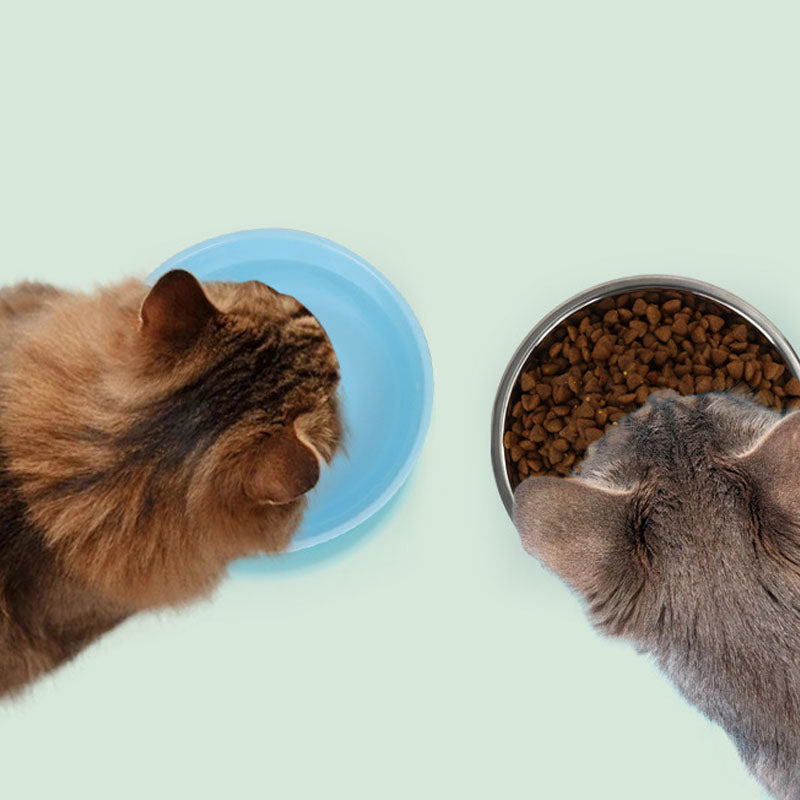 Two Piece In One Pet Food Water Bowl