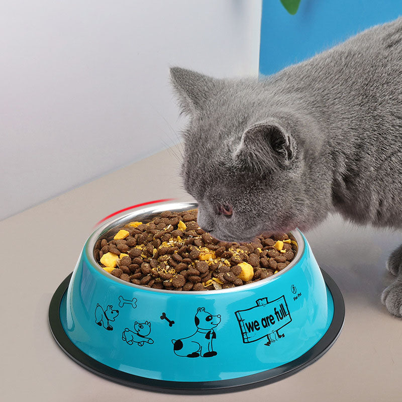 Cute Cartoon Pet Food Bowl