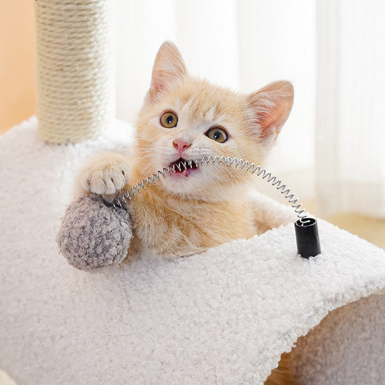 Cute Resistant Cat Climbing Tree