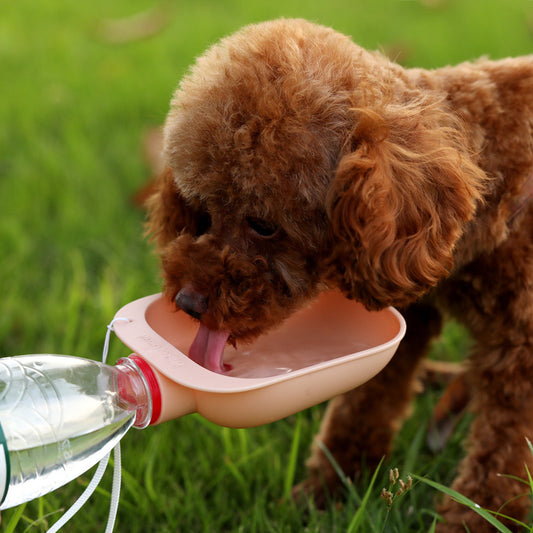 Dog Outdoor Water Bowl