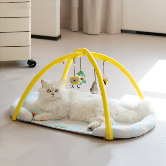 Summer Pet Mat With Playing Toys