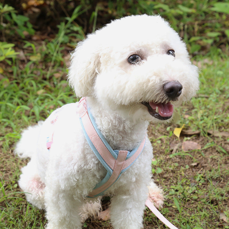 Adjustable Pet Harness For Small Medium Pet