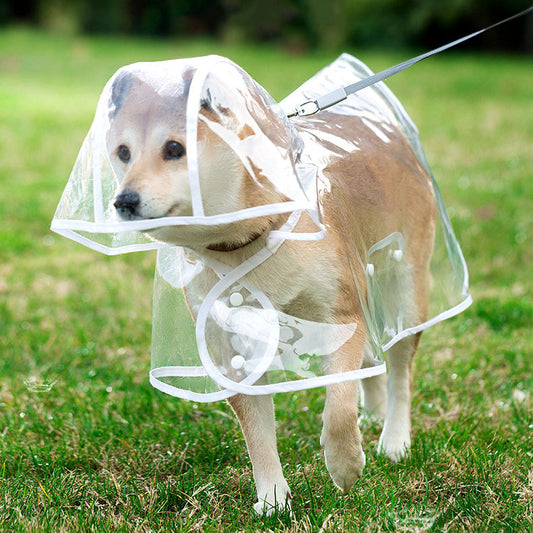 Clear Dog Raincoat