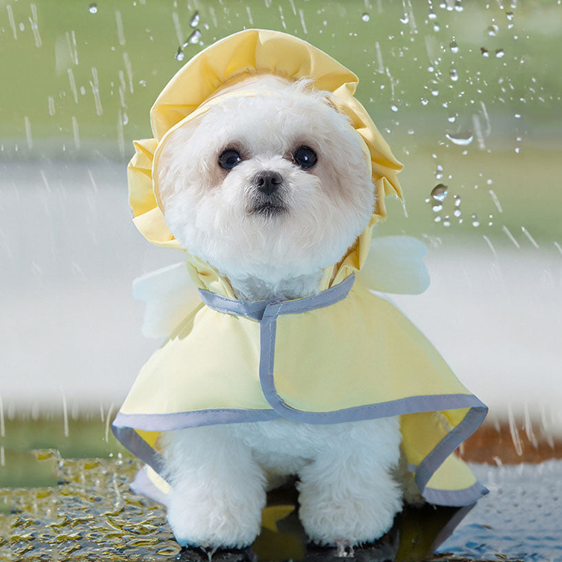 Angel Outdoor Raincoat