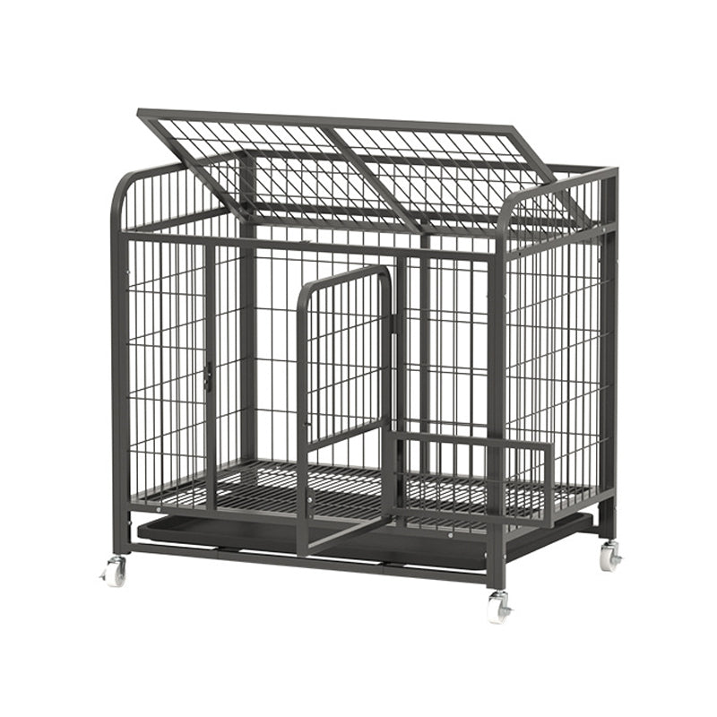 Large Dog Cage