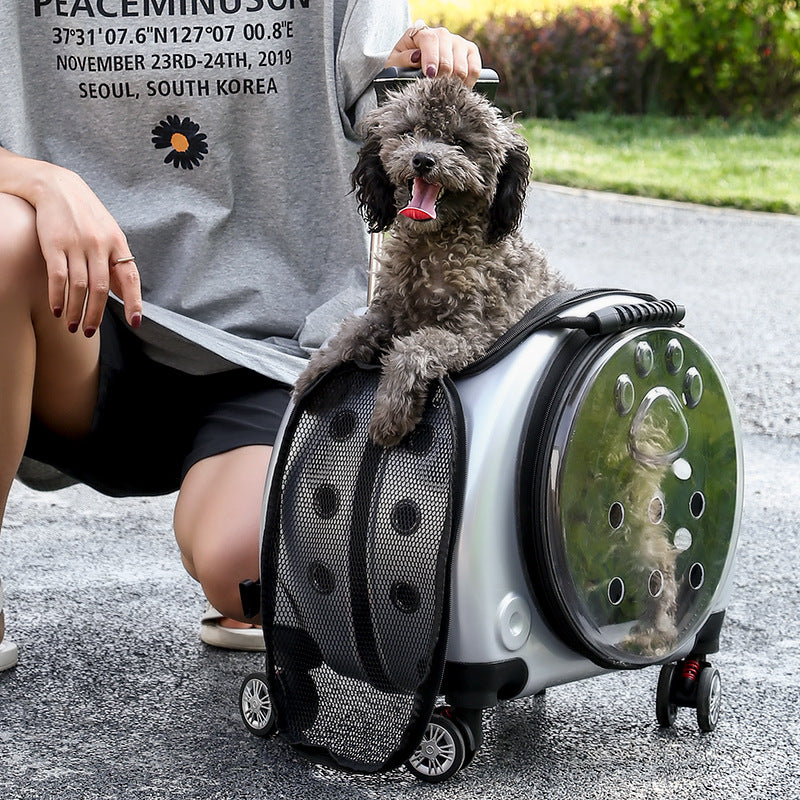 Portable Small Dog Outing Trolley Case