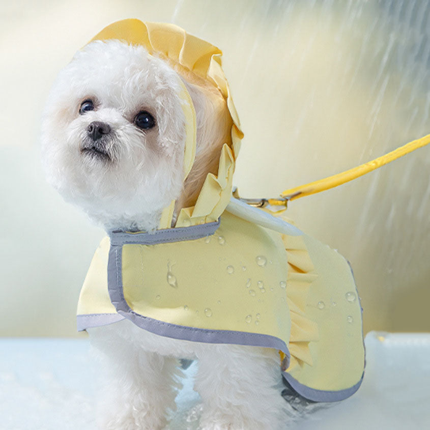 Angel Outdoor Raincoat