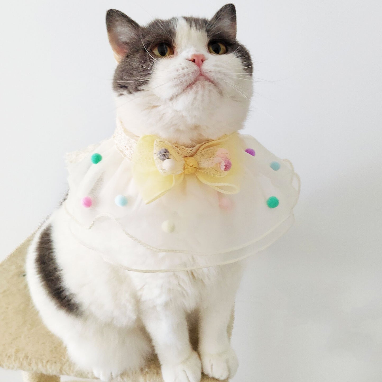 Organza Princess Style Pet Bib