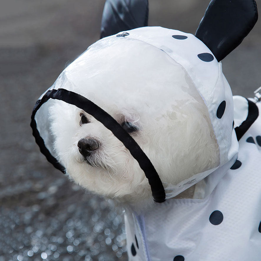 Spot Pattern Dog Raincoat