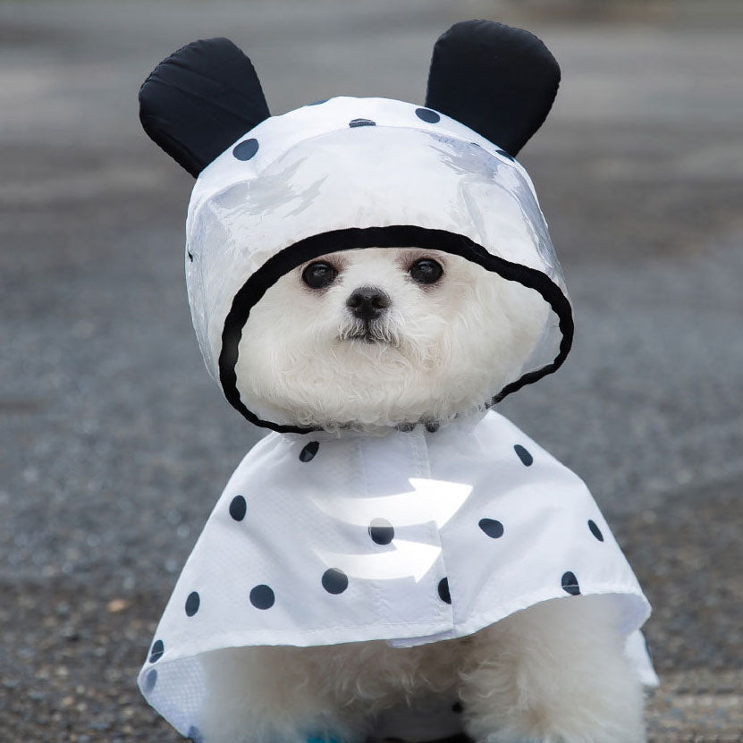 Spot Pattern Dog Raincoat