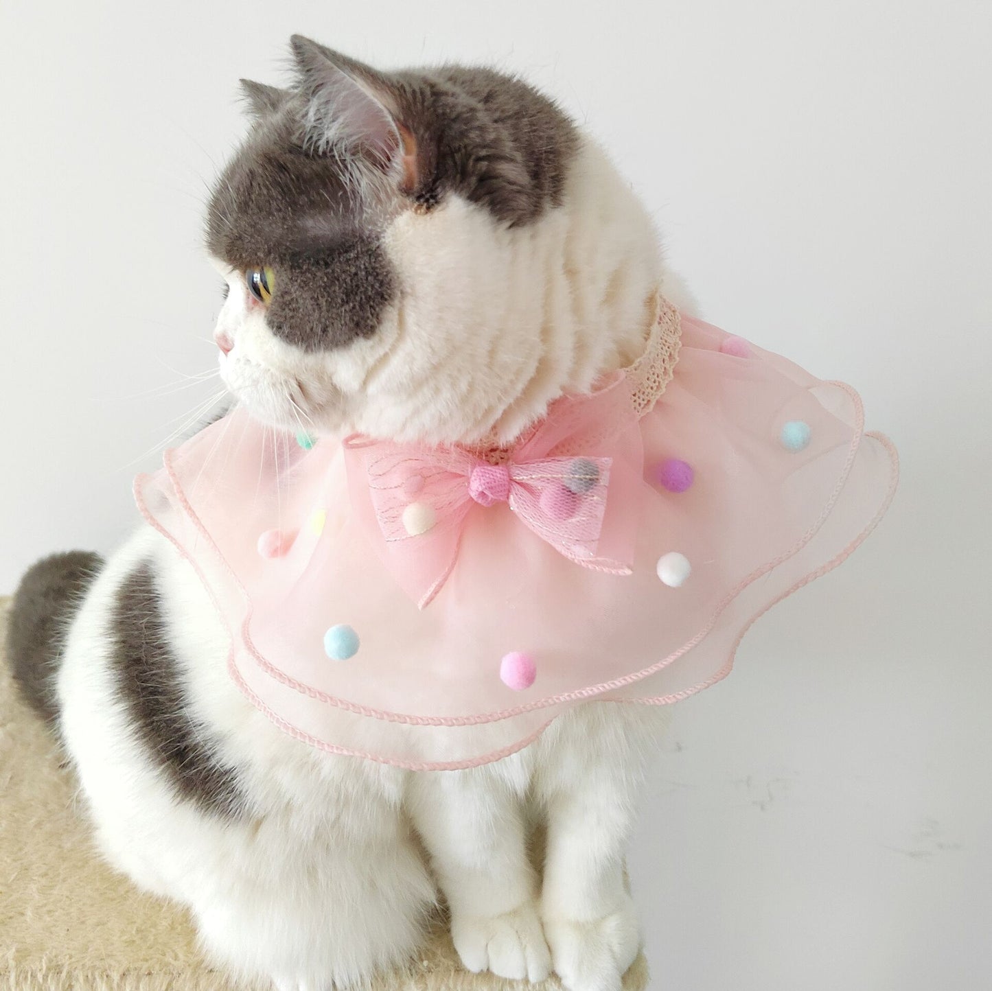 Organza Princess Style Pet Bib