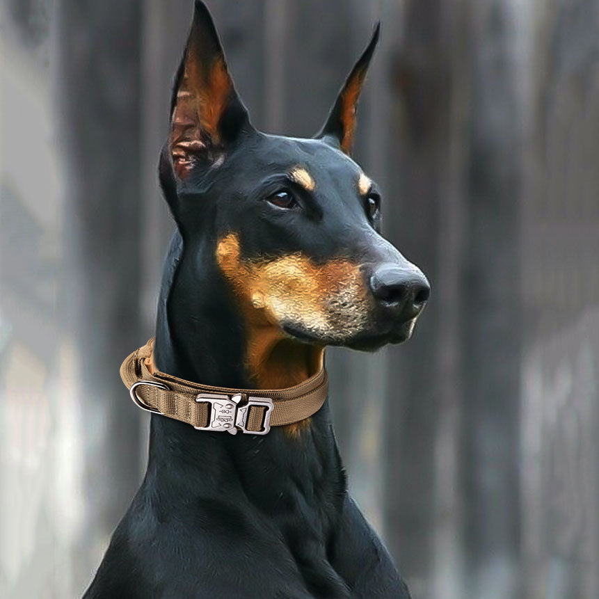 Large Tactical Dog Collar