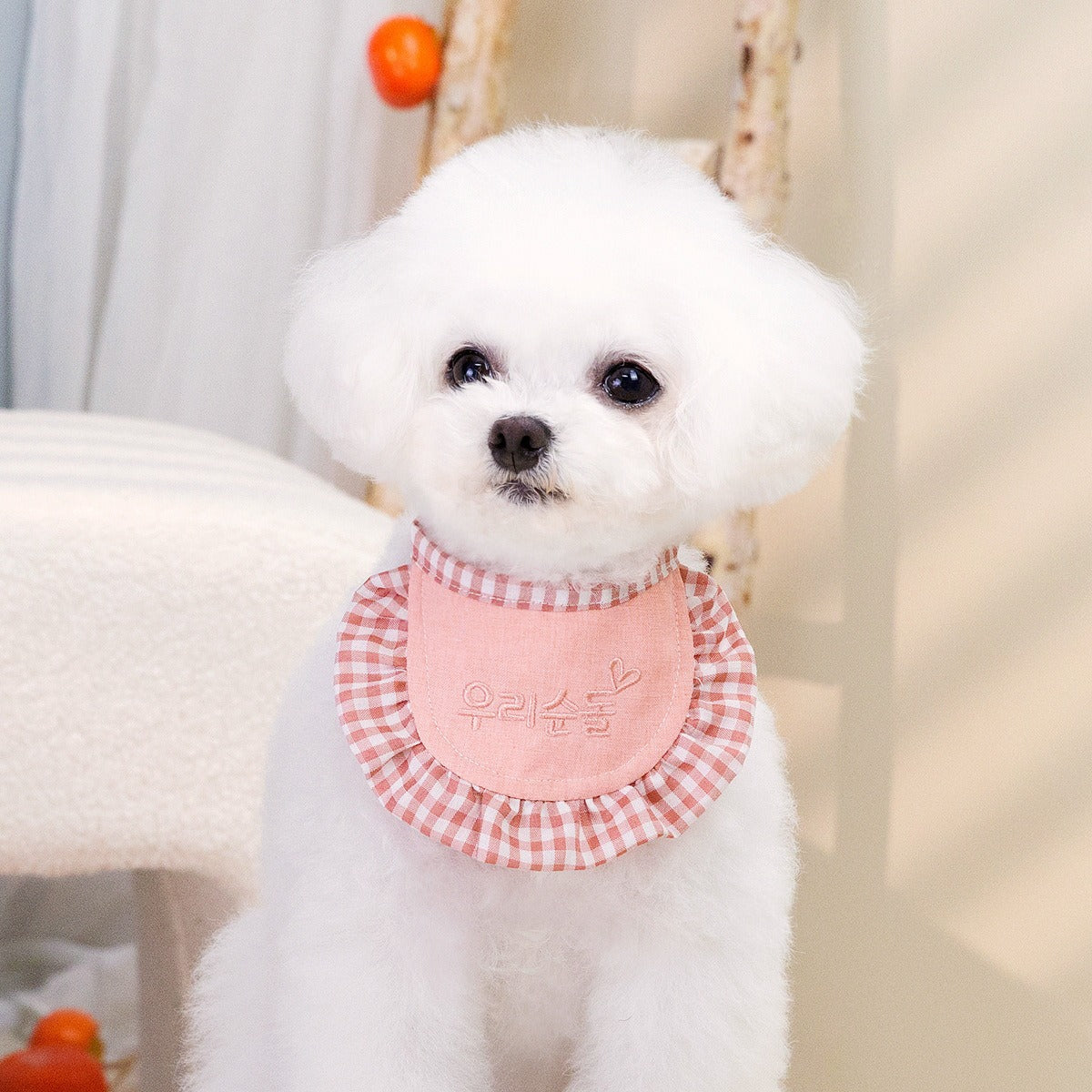 Korean Style Pet Bandana