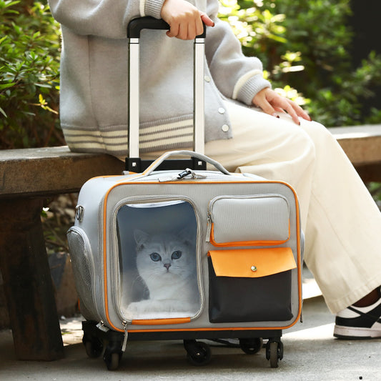 Easy Carrying Pet Outdoor Trolley Case