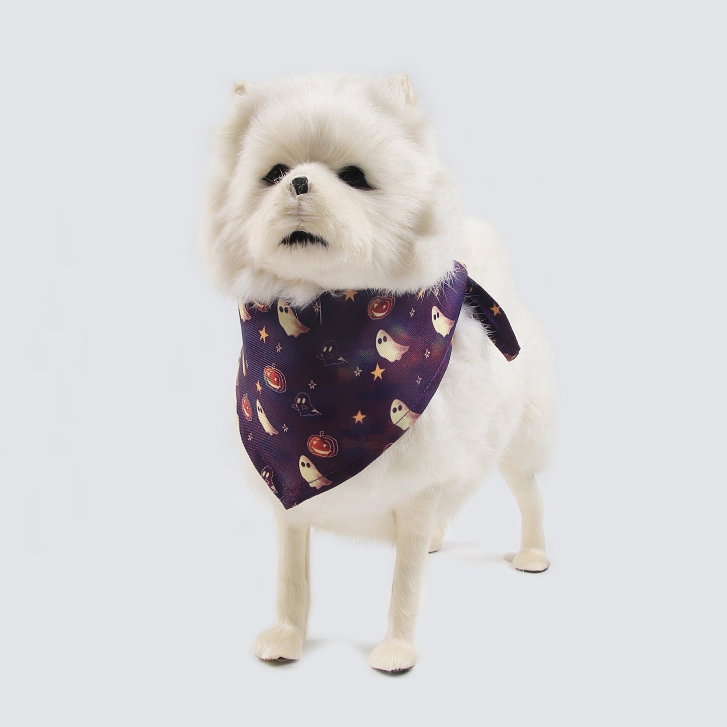 Halloween Party Pet Bandana