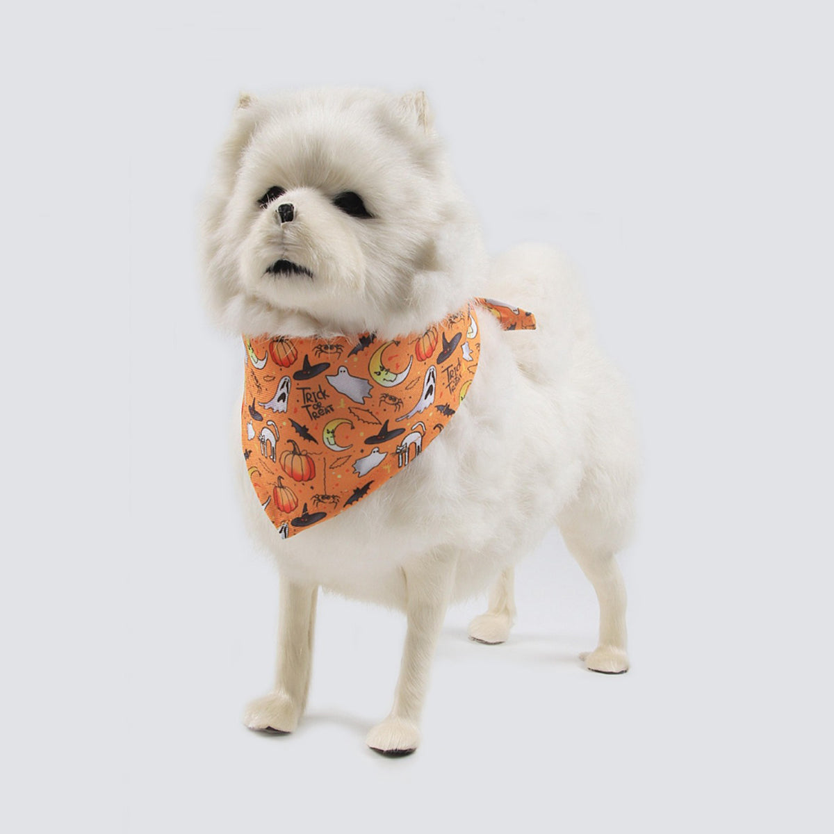 Halloween Party Pet Bandana