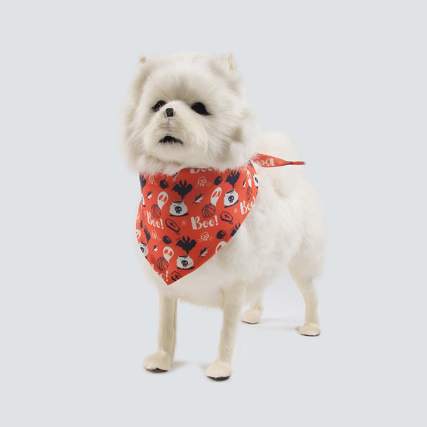 Halloween Party Pet Bandana